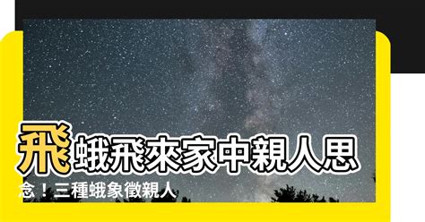 飛蛾靈魂|【飛蛾 親人】飛蛾飛來家中親人思念！三種蛾象徵親人想念子女